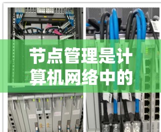 节点管理是计算机网络中的一个重要环节，涉及创建、管理、维护多个节点，包括子网中的设备、服务器等。以下是一些基本的节点管理步骤和命令