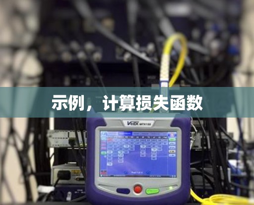 示例，计算损失函数