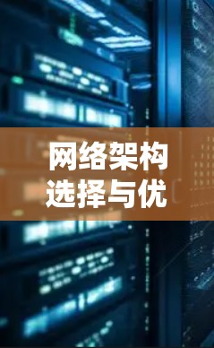 网络架构选择与优化