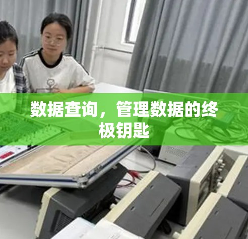 数据查询，管理数据的终极钥匙