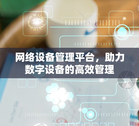 网络设备管理平台，助力数字设备的高效管理