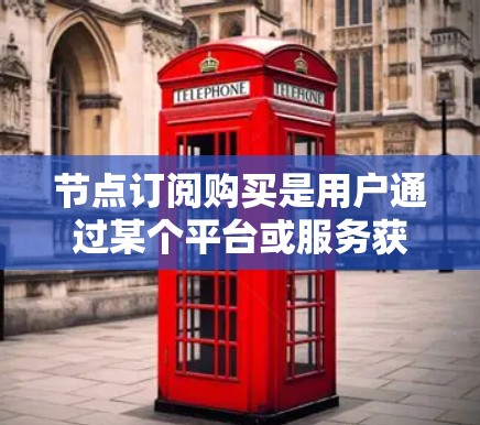 节点订阅购买是用户通过某个平台或服务获取某种资源或服务的过程。具体步骤如下