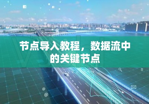 节点导入教程，数据流中的关键节点