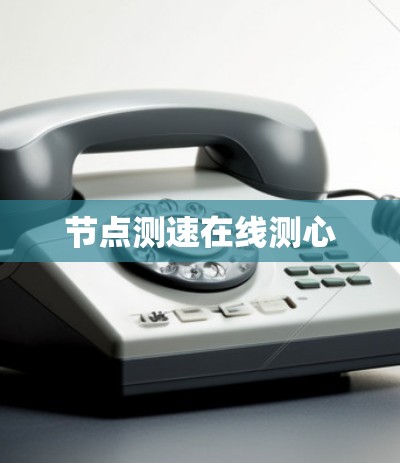 节点测速在线测心