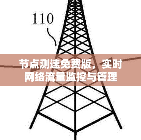 节点测速免费版，实时网络流量监控与管理