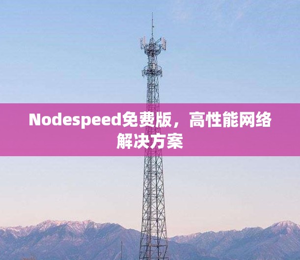 Nodespeed免费版，高性能网络解决方案