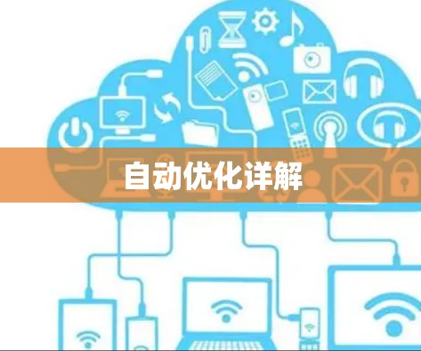 自动优化详解
