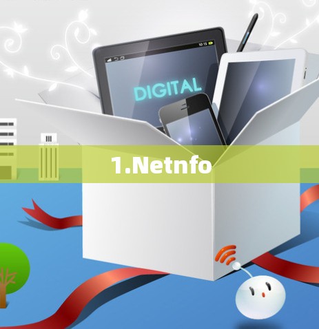 1.Netnfo