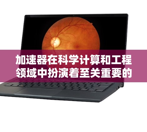 加速器在科学计算和工程领域中扮演着至关重要的角色，尤其是在处理高计算量和复杂模型时。以下是对 accelerate（GPU加速器）的不同加速器线路及其主要功能的详细总结