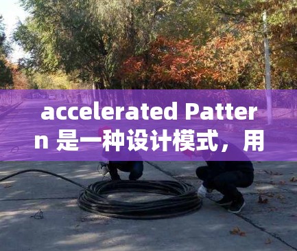 accelerated Pattern 是一种设计模式，用于在应用中快速加载和处理数据，以提升性能和效率。以下是对这个模式的详细分析