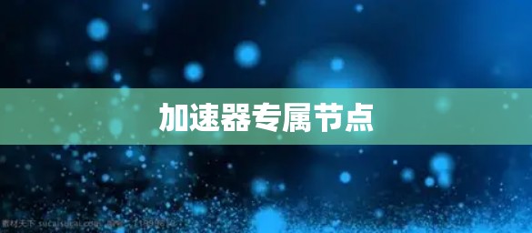 加速器专属节点