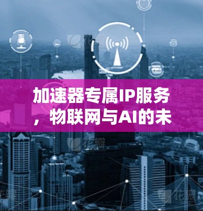 加速器专属IP服务，物联网与AI的未来解决方案