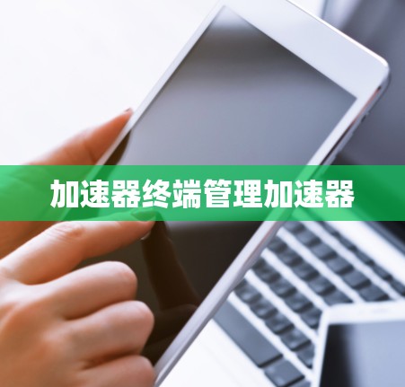 加速器终端管理加速器