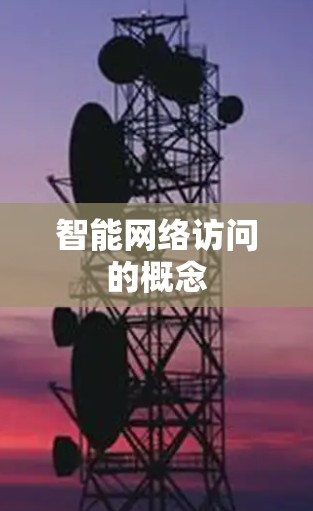 智能网络访问的概念