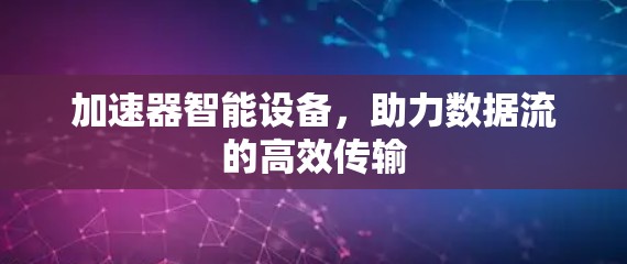 加速器智能设备，助力数据流的高效传输