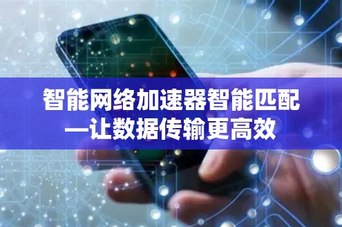 智能网络加速器智能匹配—让数据传输更高效