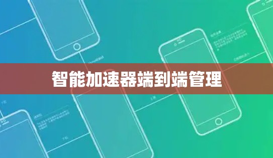 智能加速器端到端管理