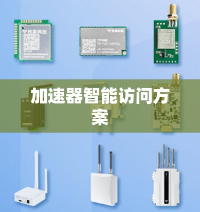 加速器智能访问方案