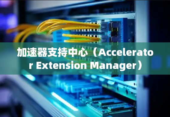 加速器支持中心（Accelerator Extension Manager）