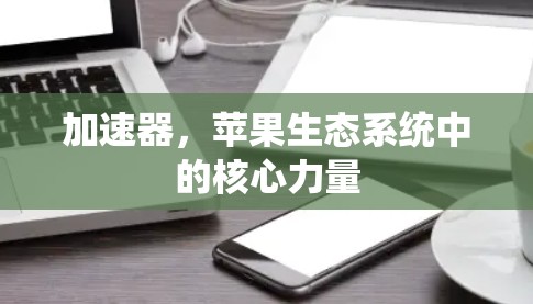 加速器，苹果生态系统中的核心力量
