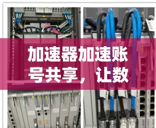 加速器加速账号共享，让数字时代更便捷