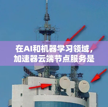 在AI和机器学习领域，加速器云端节点服务是一种高效利用云端资源的解决方案，尤其适用于深度学习模型的训练。以下是对该服务的详细分析和总结