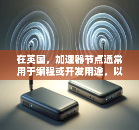 在英国，加速器节点通常用于编程或开发用途，以提高代码的执行速度。以下是一些常见的加速器节点