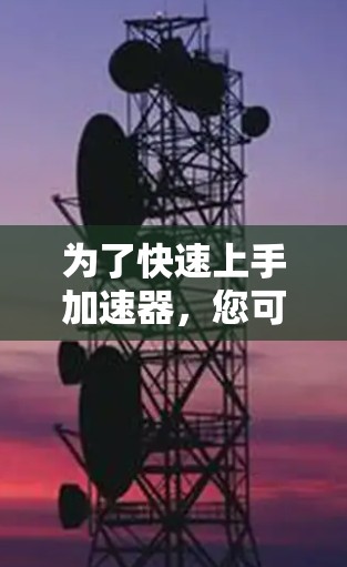 为了快速上手加速器，您可以按照以下步骤进行