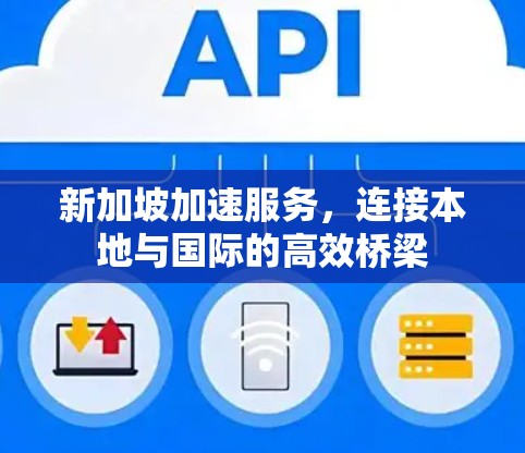新加坡加速服务，连接本地与国际的高效桥梁