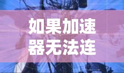 如果加速器无法连接问题困扰你，可以按照以下步骤进行排查和解决