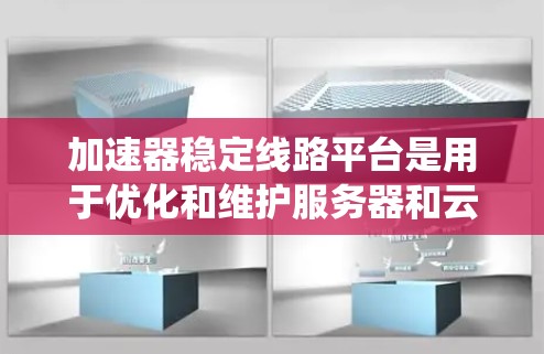加速器稳定线路平台是用于优化和维护服务器和云计算环境中的计算加速器系统，以提高资源利用率和应用性能。以下是对该平台的详细分析
