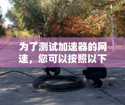 为了测试加速器的网速，您可以按照以下步骤操作