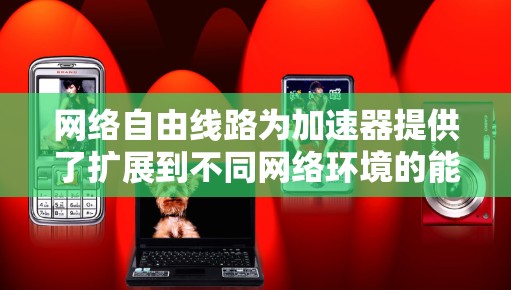 网络自由线路为加速器提供了扩展到不同网络环境的能力，使其在本地和外部环境中高效地进行数据备份和恢复。以下是对这一概念的详细分析
