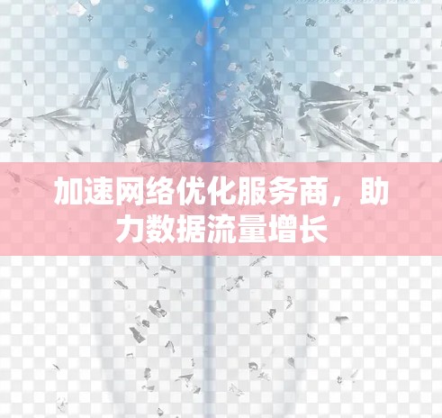 加速网络优化服务商，助力数据流量增长