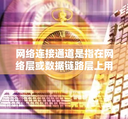 网络连接通道是指在网络层或数据链路层上用于连接不同设备或服务器的物理或网络层面的通道。它在现代网络架构中扮演着重要角色，特别是在分布式网络和云计算环境中，加速器和网络连接通道共同推动网络性能的提升