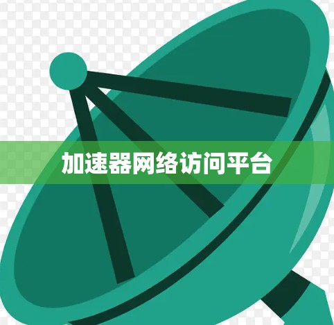 加速器网络访问平台