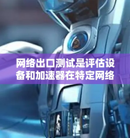 网络出口测试是评估设备和加速器在特定网络环境下的性能和效率的手段，通常用于测试设备的网络带宽、延迟、流量分布以及性能瓶颈。以下是对该主题的详细分析和步骤指南