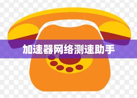 加速器网络测速助手