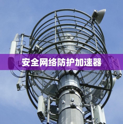 安全网络防护加速器