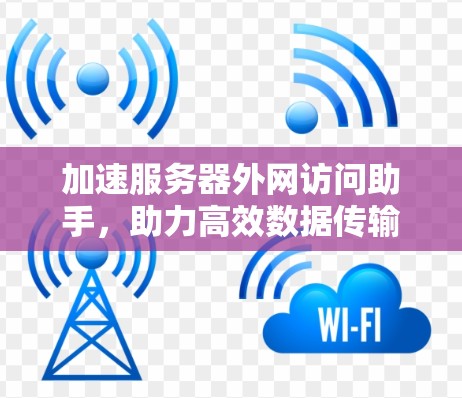 加速服务器外网访问助手，助力高效数据传输，简化网络管理