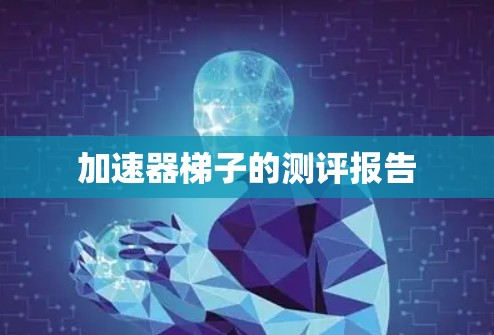 加速器梯子的测评报告