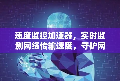 速度监控加速器，实时监测网络传输速度，守护网络清朗的未来
