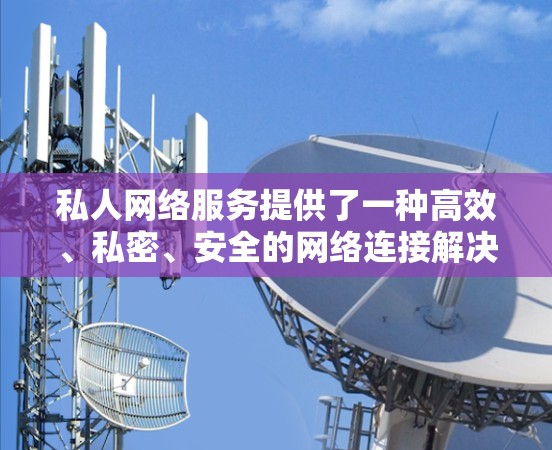 私人网络服务提供了一种高效、私密、安全的网络连接解决方案，专为个人用户设计，适合快速数据传输的需求。以下是对私人网络服务的详细分析和总结