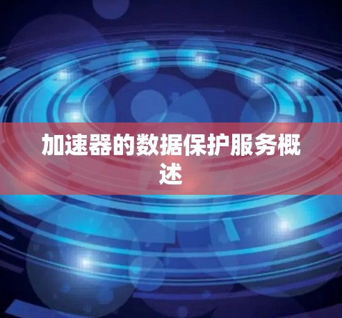 加速器的数据保护服务概述