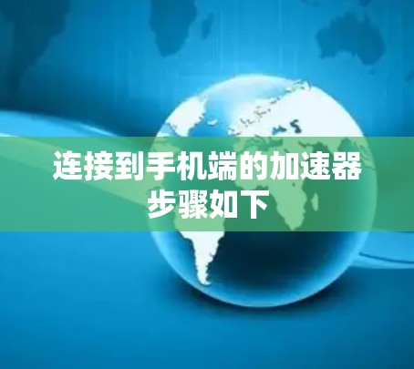 连接到手机端的加速器步骤如下