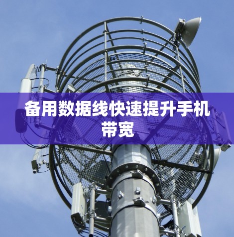备用数据线快速提升手机带宽