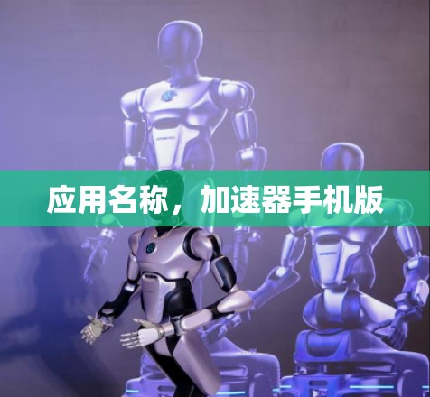应用名称，加速器手机版