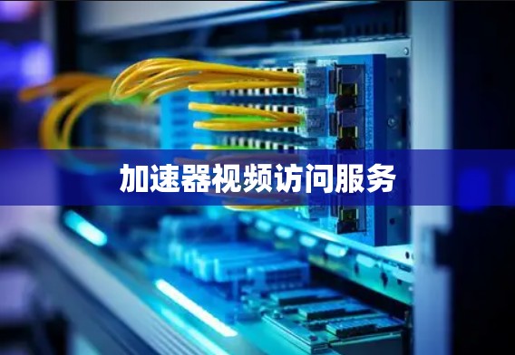 加速器视频访问服务