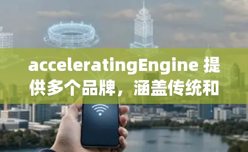acceleratingEngine 提供多个品牌，涵盖传统和智能加速器，旨在满足不同汽车制造商的需求。以下是详细的信息