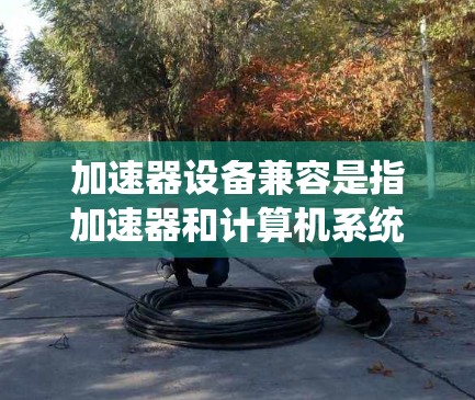 加速器设备兼容是指加速器和计算机系统之间能够良好地连接和运作，无需处理冲突或延迟。以下是具体分析
